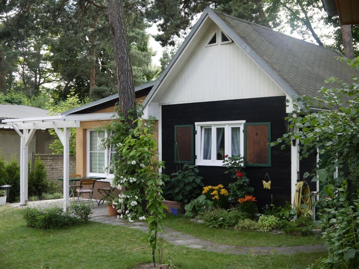 Vacation Home, Vakantiehuis *